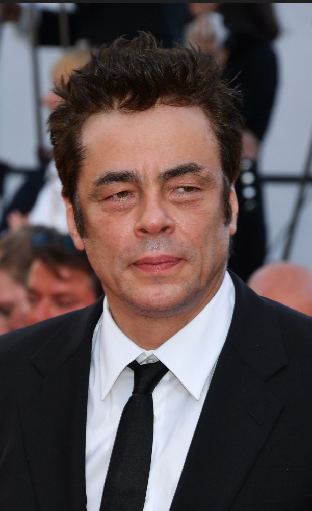 Benicio del Toro, doublé en version française par Michel Vigné