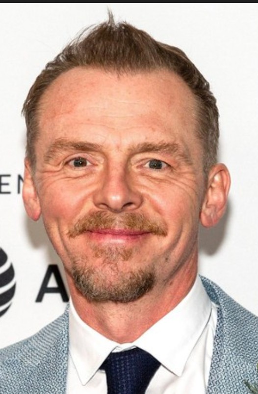 Simon Pegg, doublé en version française par Michel Vigné